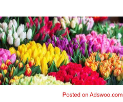 Florist in Mumbai