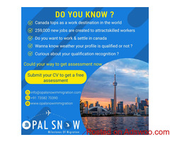 Best Canada Immigration Consultants in Chennai