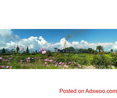 Darjeeling-Gangtok Tour Operator in Kolkata