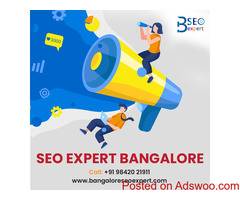 Hire SEO Expert In Bangalore Result-oriented SEO