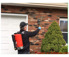 Prevent Pests From Entering your Home with Family Pest Solutions