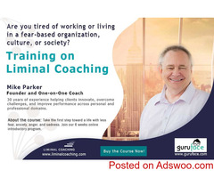 Training on Liminal Coaching