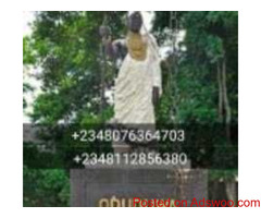 The best powerful spiritual herbalist native doctor in Nigeria+2348076364703