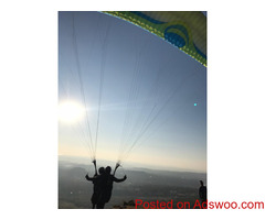 Paragliding In Dharamshala