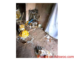 The best powerful spiritual and native doctor in Nigeria 08117409635