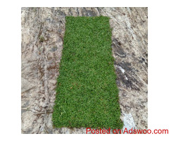 Malaysian carpet Grass in  Je Ela