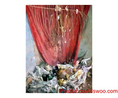 The most best powerful spiritual herbalist in Nigeria 08157855288