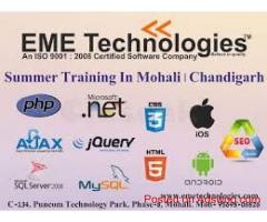 Summer Training in Mohali