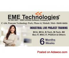Industrial Training in Mohali