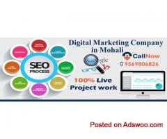 Seo Training in Mohali