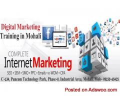 Digital Marketing Training in Chandigarh