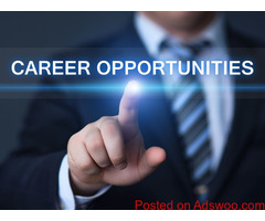 Start your career with Krazy Mantra