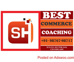 Best Commerce Coaching Institute in Chandigarh