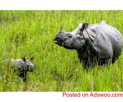 Arunachal tour package from Kolkata