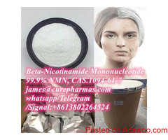 ?-Nicotinamide Mononucleotide NMN 1094-61-7 NR NR-CL NAD+ NADP NADH