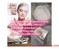 ?-Nicotinamide Mononucleotide NMN 1094-61-7 NR NR-CL NAD+ NADP NADH