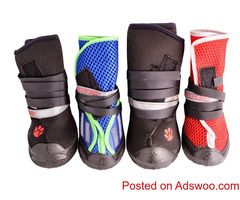 Get non-slip orthopedic dog boots to avert dragging toes and paws