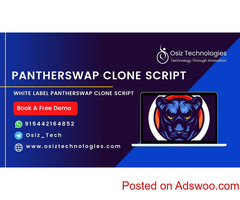 PantherSwap Clone Script