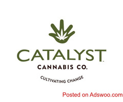 Catalyst Cannabis Company Recreational Dispensary Old Seward