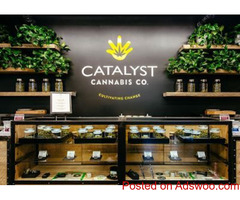 Catalyst Cannabis Company Recreational Dispensary Old Seward