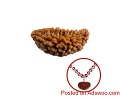 Buy Ek Mukhi Rudraksha