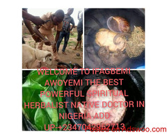 The best powerful spiritual herbalist in Nigeria +2347042962713