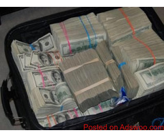 Urgently Looking for Business To Invest