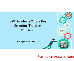 Selenium in Noida