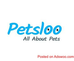 Post Your Pet Classified for FREE Today