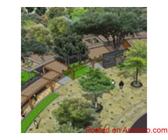 Zoo Architecture and Design Consultants