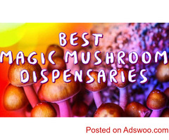 The best magic mushroom dispensaries in canada