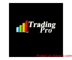 Best Cryptocurrency Telegram Group India – Tradingpro