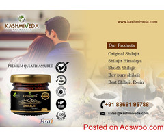 Shilajit Ayurveda