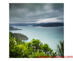 Land For Sale Marlborough Sounds