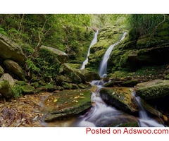 Land For Sale Marlborough Sounds