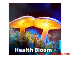 High Quality Magic Mushrooms