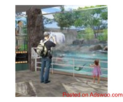 Zoo Aquarium Design and Consultants Services
