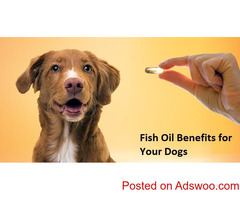 Fish Oil Benefits for Your Dogs