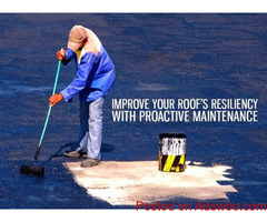 Improve Your Roof's Resiliency With Proactive Maintenance