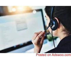 We are looking to hire remote sales agent or a individual