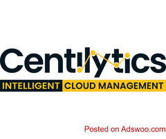 Cloud Cost Optimization Services in USA