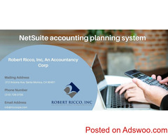 NetSuite Accounting Planning System