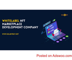 Customize Your NFT Marketplace With Whitelabel NFT Marketplace solutions