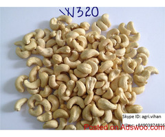 Vietnamese Cashew Nut Kernels WW240, WW320