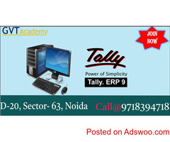 Best Advance Tally ERP9 Training in Noida