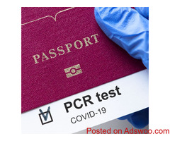 COVID 19 Testing in Coral Springs FL | Rapid COVID 19, PCR and Antibody Testing - Valenex Labs