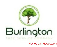 Burlington Tree Service Company