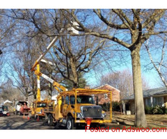 Burlington Tree Service Company