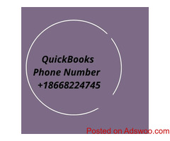 Contacting QuickBooks customer service will help you to get your issues fixed.