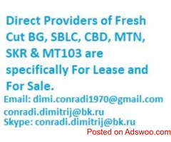 Direct Providers of Fresh Cut BG, SBLC and MTN